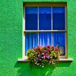 IMG_3642_Green_Wall_Window_Flowers_Honiton_United_Kingdom-AP.tiff Green Wall Window Flowers in Lyme Regis