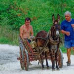 Donkey and two men by Shiroka Laka in Bulgaria. The donkey Julie