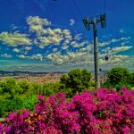 Cable cars and bougainvillea in Barcelona, Spain.