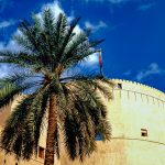 NIZWA IS ONE OF THE MOST IMPORTANT TOWNS IN THE INTERIOR OF OMAN AND ITS IMPOSING FORT PROVIDES EVIDENCE OF THIS 414 GREAT FORT & PALM TREE. NIZWA, OMAN