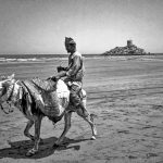 235 DONKEY, RIDER, FORT. QYRIAT, OMAN